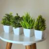 Eucalyptus Potted Faux Plants - Indoor & Office Decor (Pack of 4)