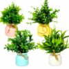 4pcs Artificial Pot Flowers - Mini Potted Plants for Home Decor