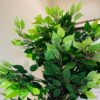 6 FT Ficus Artificial Plant with Basic Pot - Perfect Home Decor