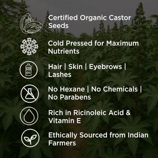 Organic Cold Pressed Castor Oil - 500ml Multi-Purpose Beauty Essential - Image 5