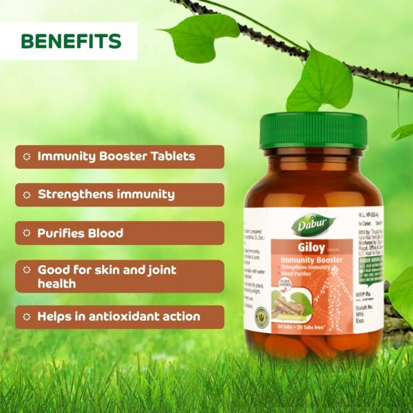 Giloy Tablets - Immunity Booster & Blood Purifier - 60 Tabs + 20 Free - Image 3