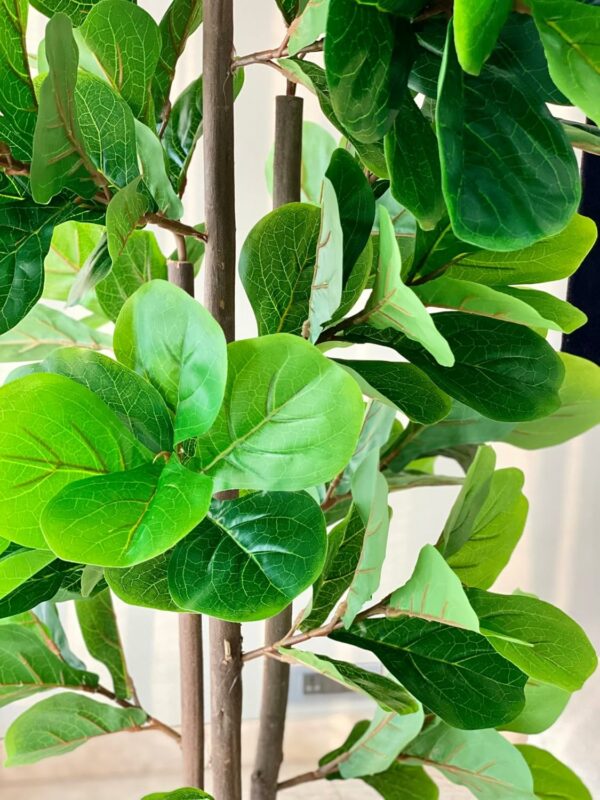 Artificial Fiddle Bliss Plant - 6 Feet - Realistic Indoor D?cor - Image 2