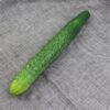 Multipurpose Realistic Artificial Vegetable Props for Display