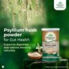 Organic India Isabgol Whole Psyllium Husk Powder - 100g
