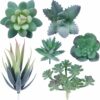 Artificial Succulent Plants Set - 6-Piece Home Decor