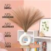 3 Pcs Faux Pampas Grass - 17 inch Artificial Fluffy Flowers for Home & Office Decor