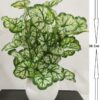 Natural Looking Artificial Money Plant Tree with Pot for Home and Office Decor