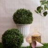 Artificial Eucalyptus Boxwood Topiary Grass Balls - Set of 2, 23 cm