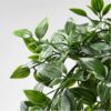 Realistic Artificial Hanging Plant for Home & Garden Decor