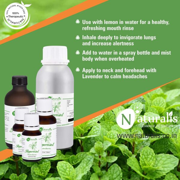 Pure Peppermint Essential Oil - Therapeutic Grade 30ml - Image 6