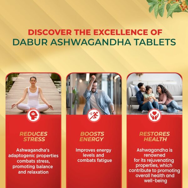 Ashwagandha Tablets - 60 Count | Immunity & Stress Relief - Image 4