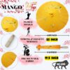 Japanese Traditional Handmade Parasol Umbrella - 33 Inch