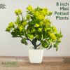 Mini Artificial Plants - 4Pc Set for Home & Office Decor