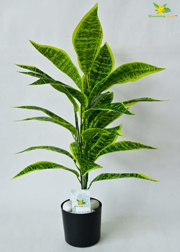 Artificial Snake Plant with Black Pot - 71.1 cm Tall, 26 Leaves - Image 6