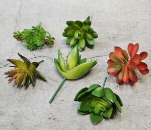 6 Pcs Artificial Succulent Heads for Home & Office Decor