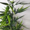 Realistic Artificial Bamboo Plant for Home & Office Decor