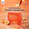 Moisturizing Glycerin Soap Bar - Germ Protection for All Skin Types (Combo Pack of 5)