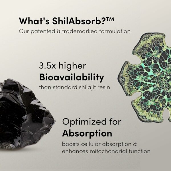 Pure Himalayan Shilajit Gummies with 75% Fulvic Acid & Ashwagandha | Pack of 60 - Image 4