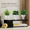 3 Pcs Set Mini Artificial Plants - White Man Shape Decor