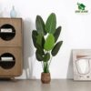 5 Feet Artificial Banana Plant - Lifelike Faux Tropical Tree