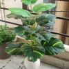 Artificial Areca Palm Tree with Pot - 70 cm Tall Indoor Decor