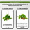 Artificial Money Plant with Woodlog Pot - 18 cm - Home & Office D?cor
