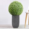 Mini Vanilla Ball Topiary - Artificial Shrub for Home Decor