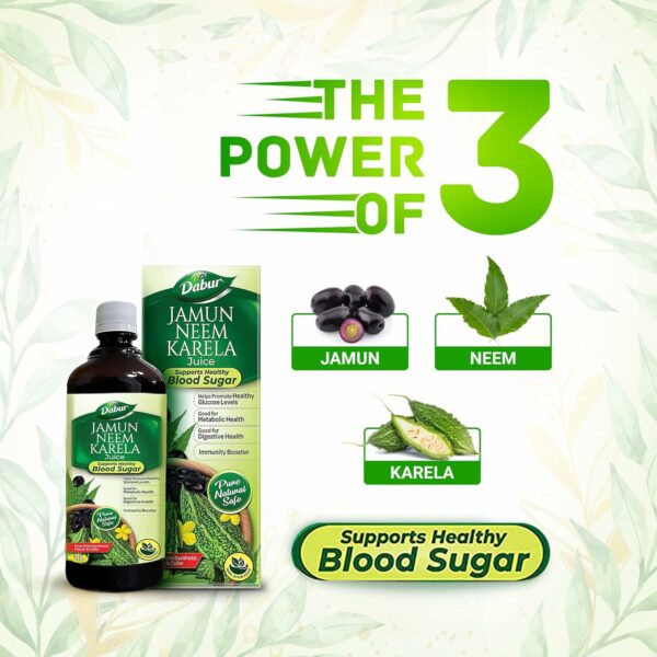 Jamun Neem Karela Juice 1L - Supports Healthy Blood Sugar - Image 2