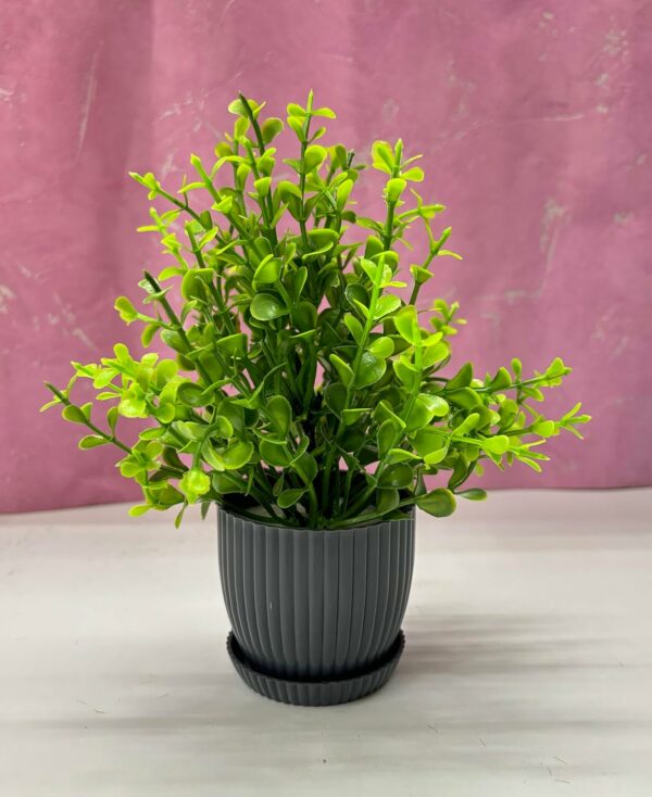 6 Packs Mini Artificial Plants for Home Decor - 17Cm - Image 4
