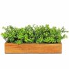 Realistic Artificial Gardenia Plant Bunch in Wood Planter