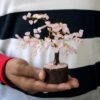 Natural Rose Quartz Crystal Tree - 100 Beads, 7-8 Inches