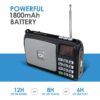 Pocket FM Portable Multimedia Speaker with Torch & 12H Playback