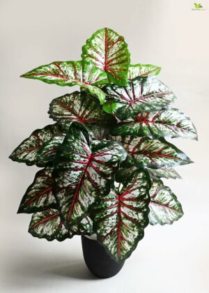 Artificial Tropical Caladium Plant 78.7 Cm Tall with 18 Leaves