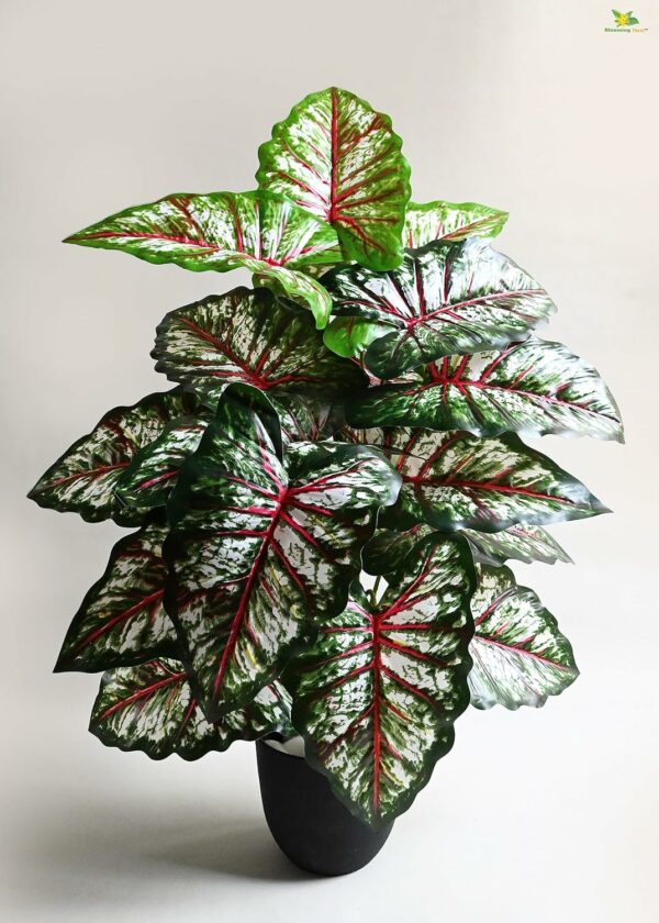 Artificial Tropical Caladium Plant 78.7 Cm Tall with 18 Leaves