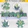 Artificial Succulent Plants Set - 6-Piece Home Decor
