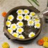 12 Pcs White Foam Hawaii Beach Floating Flowers for Decor