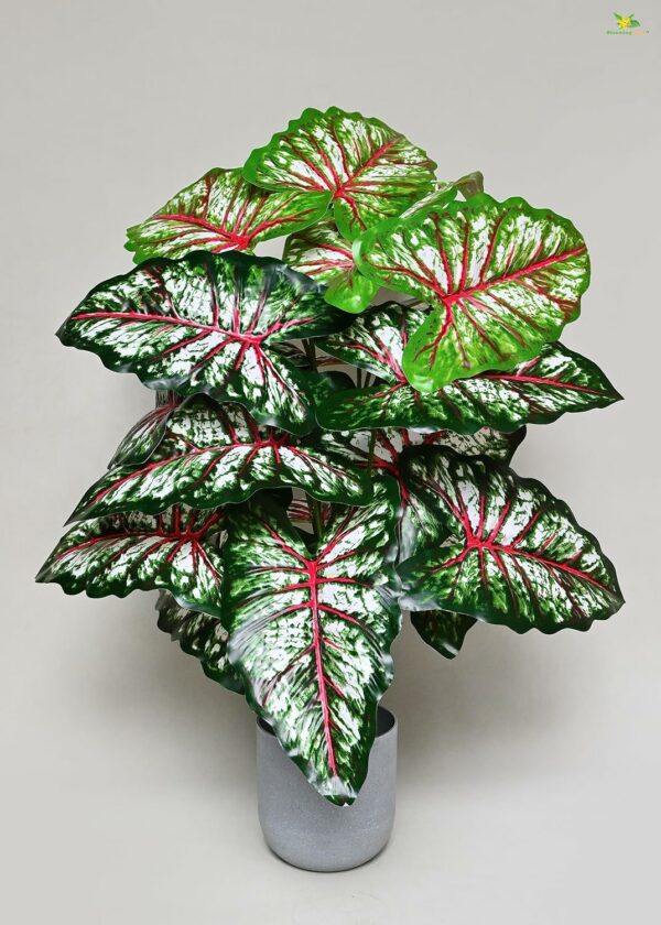 Artificial Tropical Caladium Plant 78.7 Cm Tall with 18 Leaves - Image 6