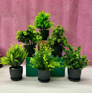 6 Packs Mini Artificial Plants for Home Decor - 17Cm