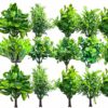 Small Eucalyptus Artificial Plant for Home and Office Decor